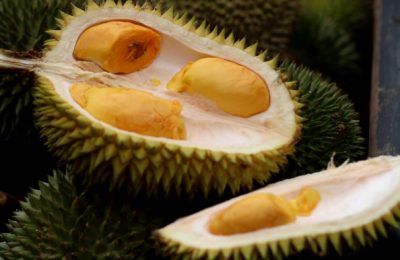 Durian Lokal Primadona Bintang Ara dari Tabalong. (Ist)