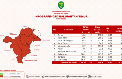 Infografis Kasus DBD Provinsi Kalimantan Timur. (Ist)