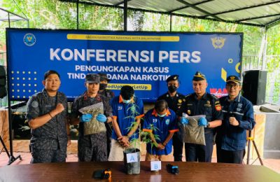 Konferensi Pers pengungkapan peredaran ganja. (Ist)