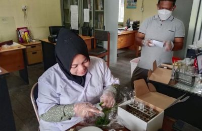 Pengujian Pangan Segar Asal Tumbuhan (PSAT). (Ist)