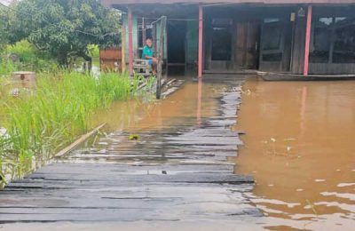 Banjir yang merendam Desa Tumbang Nusa, Kecamatan Jabiren Raya. (Ist)