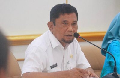 Bupati Penajam Paser Utara (PPU) Hamdam Pongrewa. (Ist)