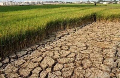 Potensi dampak El Nino. (Ist)