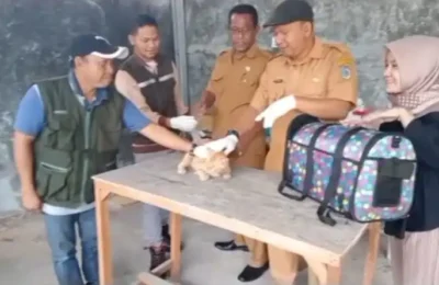 Pemberian vaksin Rabies. (Ist)