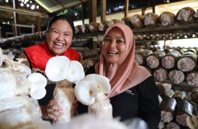 Program CSR unggulan PHKT bertajuk Program Semur Cendawan. (Ist)