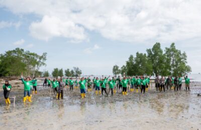 Pertamina EP Bunyu Field Tanam 1.000 Bibit Mangrove. (Ist)