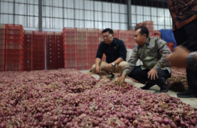 Kepala Badan Pangan Nasional Arief Prasetyo Adi saat meninjau stablitas pangan Bawang Merah. (Ist)