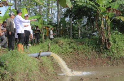 Program Pompanisasi, Kementan Gencarkan Listrik Masuk Sawah. (Ist)