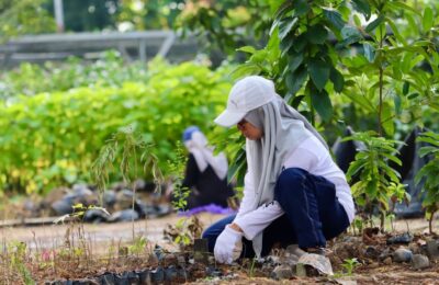 Pemprov Kalsel Lakukan Pembenahan Persemaian Permanen BPTH, Ketersediaan Bibit Tanaman Terbaik. (Ist)