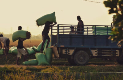 Para petani sedangan melakukan aktivitasnya. (Ist)