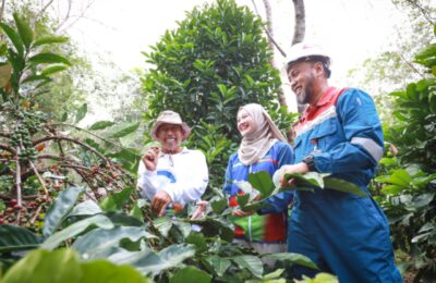 Kawasan Eduwisata Kampung Kopi Luwak di Kaltim. (Ist)