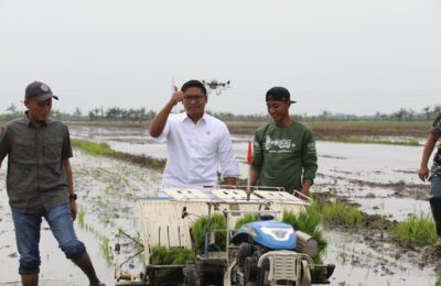 Wakil Menteri Pertanian, Sudaryono. (Ist)