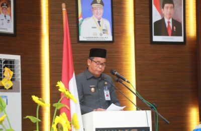Pj Bupati Barito Kuala Dinansyah. (Ist)