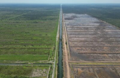 Program food estate yang dikerjakan pemerintah. (Ist)
