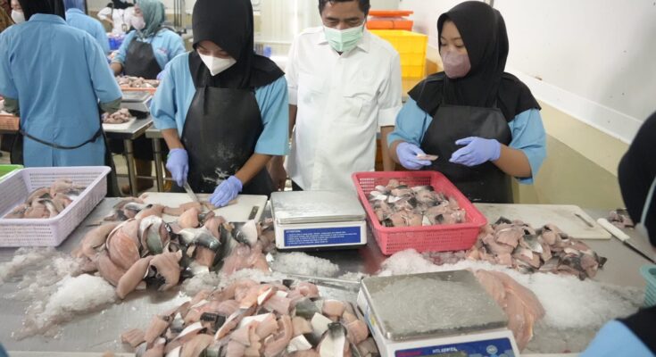Ikan yang dipasok ke dapur makan bergizi. (Ist)