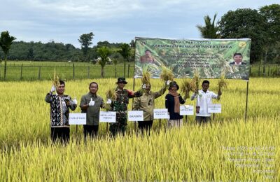 Gerakan Panen Padi di Waru. (Ist)