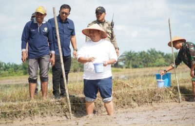Mudyat Noor Pimpin Aksi Tanam Padi. (Ist)