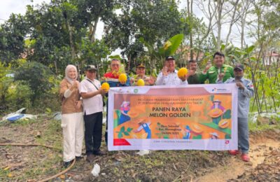 Program CSR PHKT Panen Raya Melon Golden. (Ist)