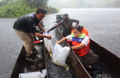 KKP Lepas 234 Anakan Arwana Irian. (Ist)