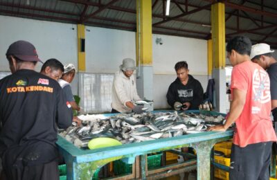 Aktivitas pasar pelelangan ikan dari hasil tangkapan nelayan. (Ist)