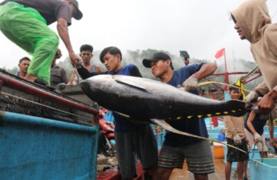 Nelayan membawa hasil tangkapan. (Ist)